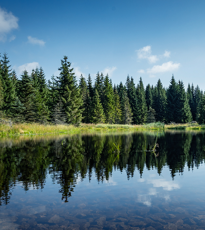 Honda的环境与安全愿景